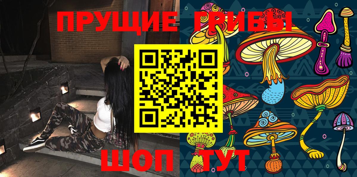 Уварово  Галлюциногенные грибы Psilocybine cubensis  Вход с VPN 